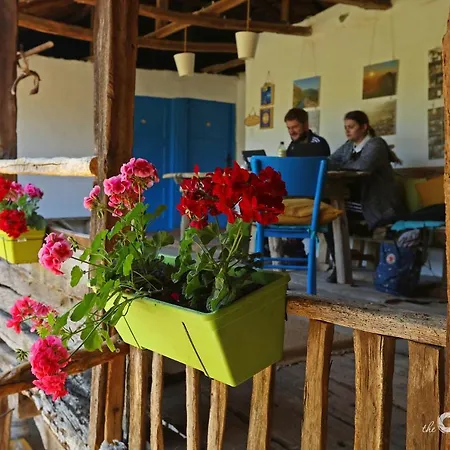 Guest house The Old Nest Madzharovo