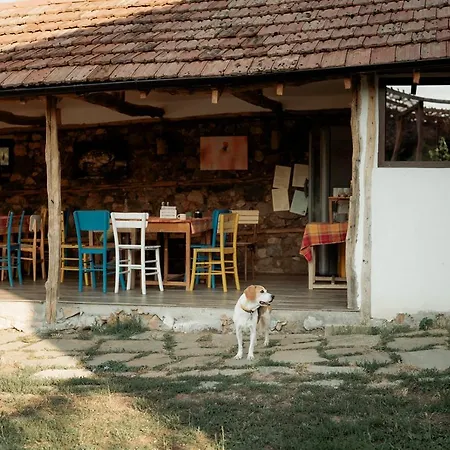 The Old Nest Guest house 3*
