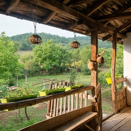 Guest house The Old Nest Madzharovo