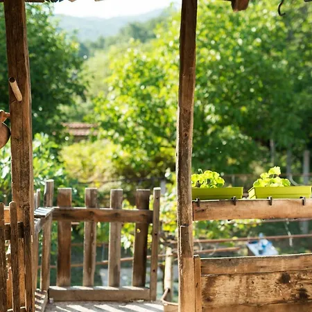 The Old Nest Guest house