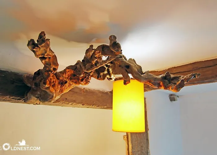 Guest house The Old Nest