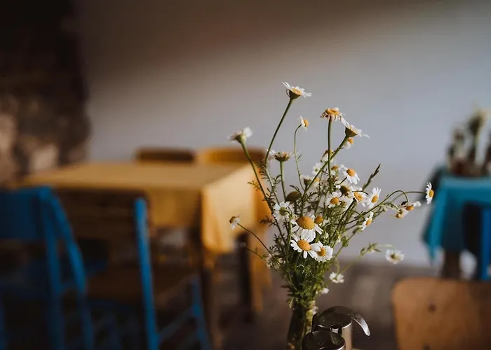 The Old Nest 3* Madzharovo