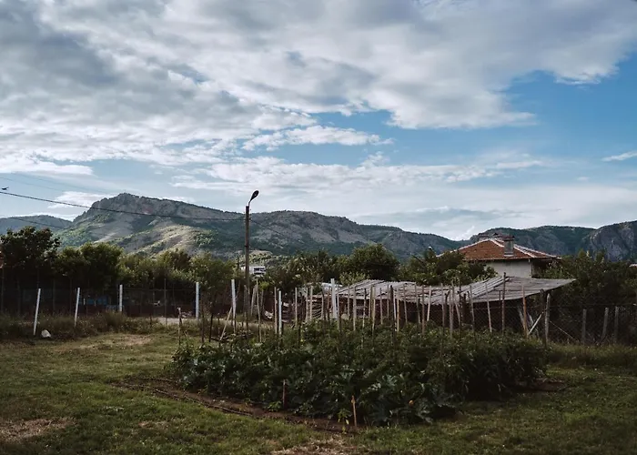 Guest house The Old Nest 3*