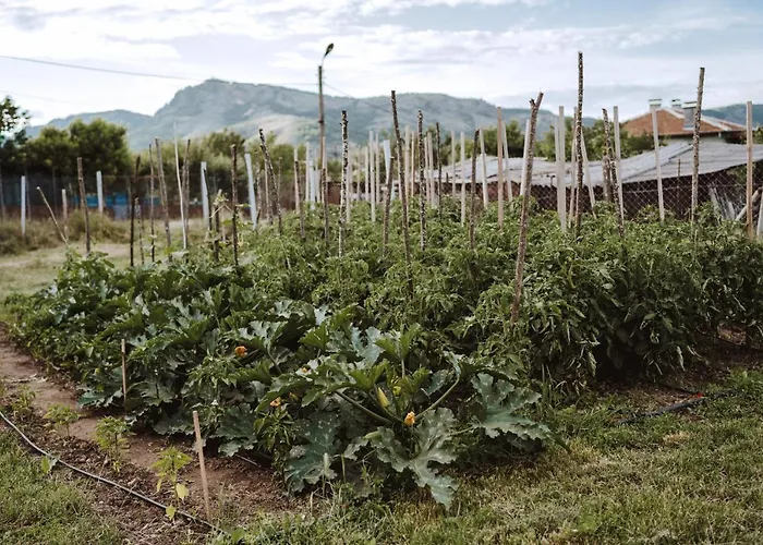 The Old Nest Madzharovo