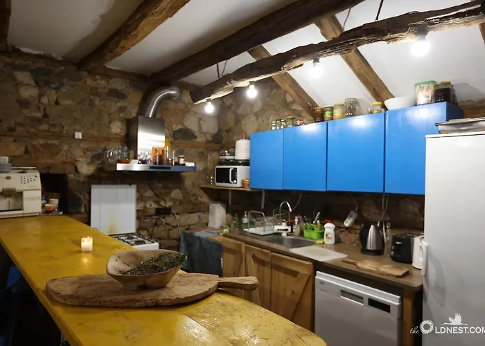 The Old Nest Guest house