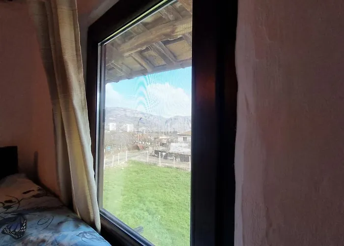 The Old Nest Guest house