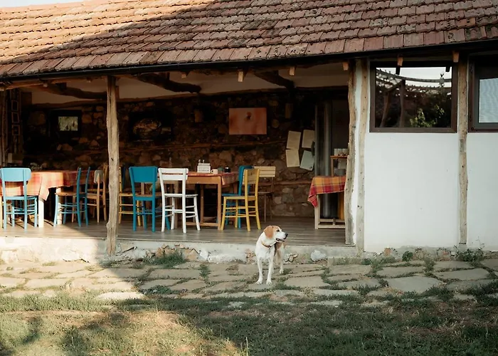 The Old Nest Guest house 3*