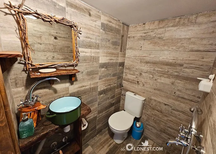 The Old Nest Guest house