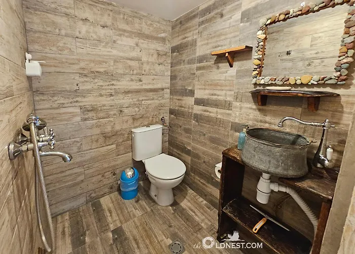 The Old Nest Guest house