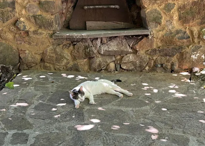 The Old Nest Casa de hóspedes