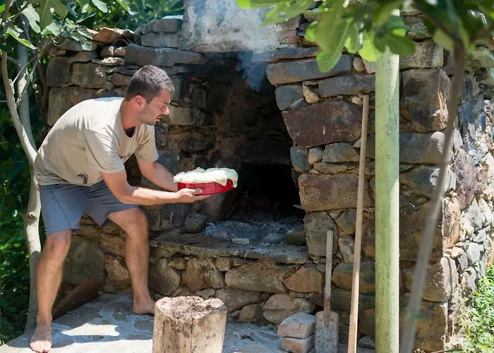 The Old Nest Madzharovo