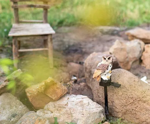 The Old Nest Guest house 3*