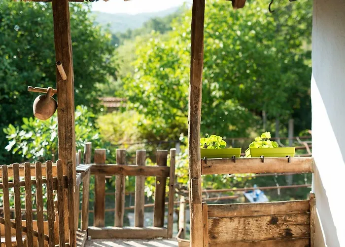 The Old Nest Guest house