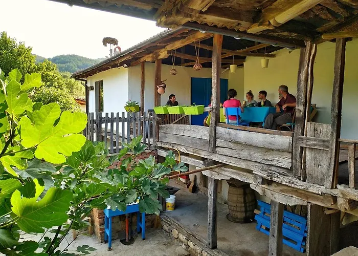 The Old Nest Madzharovo